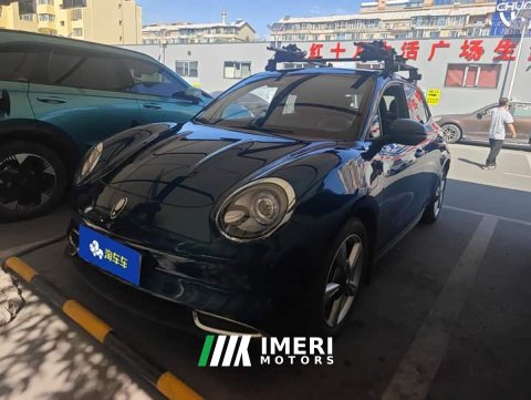 2021 ORA Good Cat 400km Standard Range Venus Edition LFP Battery - ავტომობილი ჩინეთიდან