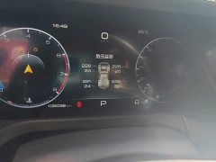 Tank 300 Off-Road Edition 2.0T Conqueror - ფოტო 14