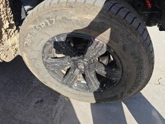 Tank 300 Off-Road Edition 2.0T Conqueror - ფოტო 6
