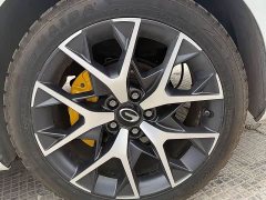 Trumpchi Leopard 2021 270T DCT J16 - ფოტო 4