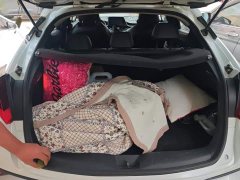 Toyota Yize Izoa Dual Engine 2.0L Yizhi Edition - ფოტო 4