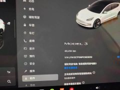 Tesla Model 3 2022 Rear-Wheel Drive - ფოტო 10