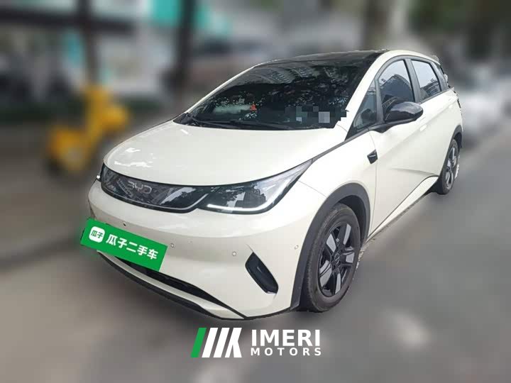 BYD Dolphin Smart Drive 410km Fashion Edition - ავტომობილი ჩინეთიდან
