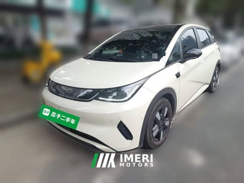 2025 BYD Dolphin Smart Drive 410km Fashion Edition - ავტომობილი ჩინეთიდან