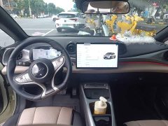 BYD Dolphin Smart Drive 410km Fashion Edition - ფოტო 10