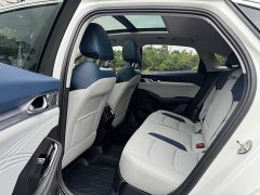Geely Xingui Xingrui 2.0T Diesel Premium - ფოტო 11