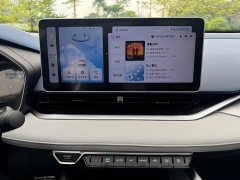 Geely Xingui Xingrui 2.0T Diesel Premium - ფოტო 17