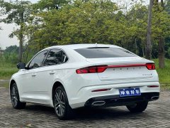 Geely Xingui Xingrui 2.0T Diesel Premium - ფოტო 4
