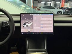 Tesla Model Y Rear-Wheel Drive - ფოტო 12
