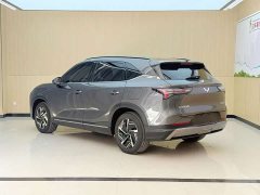Wuling Xingguang S 130km Pilot Edition - ფოტო 9