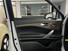 Denza X 2020 PHEV Premier Edition - ფოტო 7
