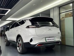 Denza X 2020 PHEV Premier Edition - ფოტო 8