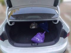 Volkswagen Sagitar 2023 280TSI DSG Beyond Plus - ფოტო 15