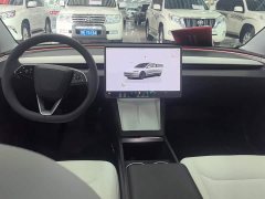Tesla Model 3 Rear-Wheel Drive - ფოტო 12