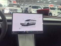 Tesla Model 3 Rear-Wheel Drive - ფოტო 13