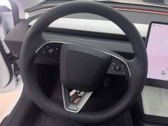 Tesla Model 3 Rear-Wheel Drive - ფოტო 15