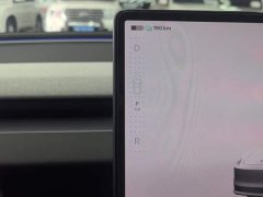 Tesla Model 3 Rear-Wheel Drive - ფოტო 16