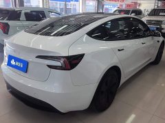 Tesla Model 3 Rear-Wheel Drive - ფოტო 3