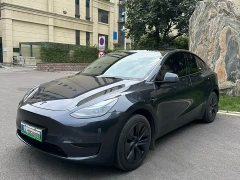 Tesla Model Y Rear-Wheel Drive - ფოტო 2