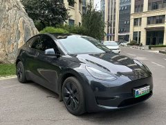 Tesla Model Y Rear-Wheel Drive - ფოტო 3
