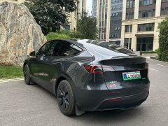 Tesla Model Y Rear-Wheel Drive - ფოტო 4