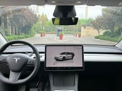 Tesla Model Y Rear-Wheel Drive - ფოტო 9