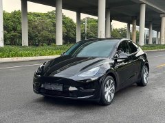 Tesla Model Y Long Range All-Wheel Drive - ფოტო 1