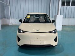 Chery Kaiyue Shiyue Max 310km Ruyu Edition - ფოტო 2