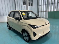 Chery Kaiyue Shiyue Max 310km Ruyu Edition - ფოტო 3