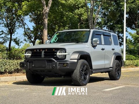 2021 Tank 300 Off-Road Edition 2.0T Conqueror - ავტომობილი ჩინეთიდან