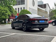 Volkswagen Passat 380TSI Starry Sky Elite - ფოტო 3