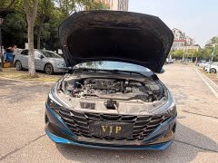 Hyundai Elantra 240TGDi DCT LUX Luxury Edition - ფოტო 16