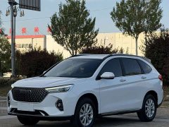 Haval M6 2021 PLUS 1.5T DCT Luxury Smart Connected Edition - ფოტო 1