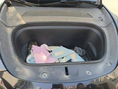 Tesla Model Y Rear-Wheel Drive - ფოტო 10