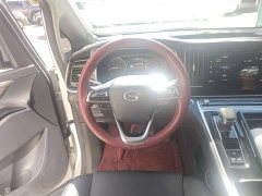 GAC Aion M8 Lingxiu Series 390T Luxury Edition - ფოტო 6