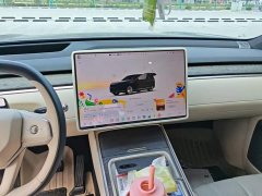 Nio Lerado L90 Max Six-Seater - ფოტო 13