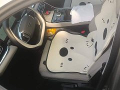 Geely Galaxy Starlight 6 125km Extended Range Edition - ფოტო 9