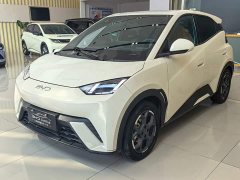 BYD Seagull 2025 405km Flying Edition - ფოტო 1