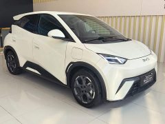 BYD Seagull 2025 405km Flying Edition - ფოტო 3