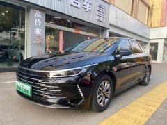 BYD Destroyer 05 Glory Edition DM-i 55KM Luxury - ფოტო 1