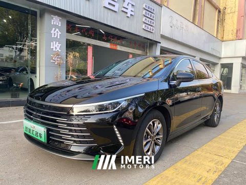 2024 BYD Destroyer 05 Glory Edition DM-i 55KM Luxury - ავტომობილი ჩინეთიდან