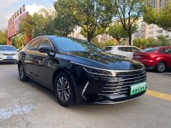 BYD Destroyer 05 Glory Edition DM-i 55KM Luxury - ფოტო 3