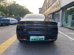 BYD Destroyer 05 Glory Edition DM-i 55KM Luxury - ფოტო 8