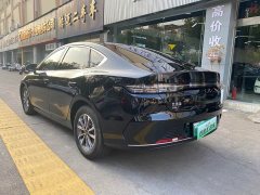 BYD Destroyer 05 Glory Edition DM-i 55KM Luxury - ფოტო 9