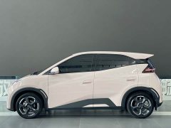 BYD Seagull 2023 Freedom Edition - ფოტო 14