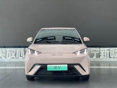 BYD Seagull 2023 Freedom Edition - ფოტო 2