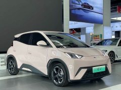 BYD Seagull 2023 Freedom Edition - ფოტო 3