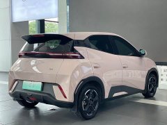 BYD Seagull 2023 Freedom Edition - ფოტო 4