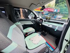 Wuling Hongguang MINIEV 2021 Macaron Premium Edition LFP - ფოტო 6