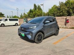 Chery Ant Youth Edition 251km True Love Edition 25.05kWh - ფოტო 1